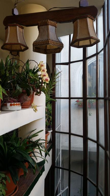 Vila Monica Bed & Breakfast Târgu-Mureş Eksteriør bilde