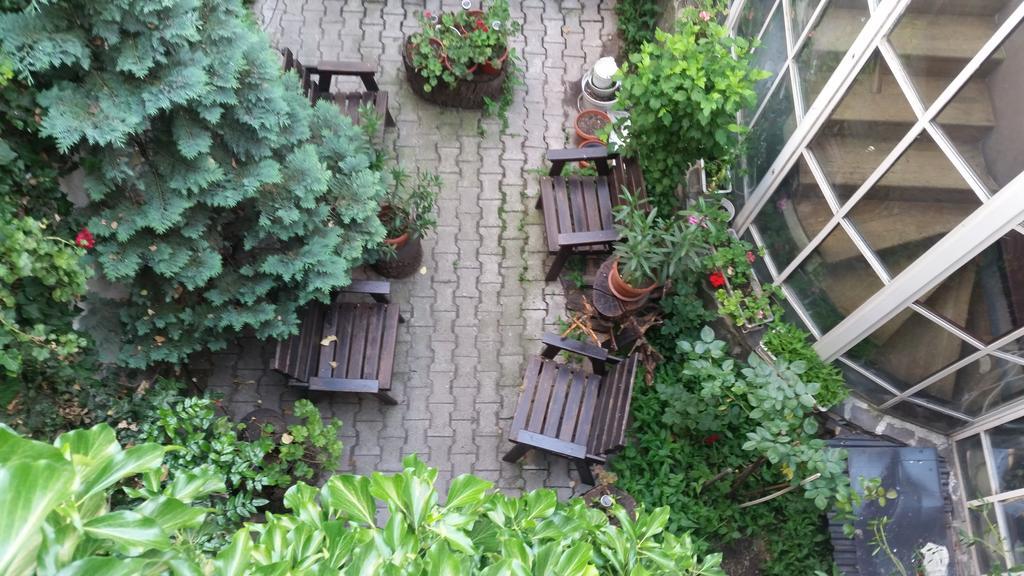 Vila Monica Bed & Breakfast Târgu-Mureş Eksteriør bilde