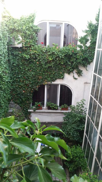 Vila Monica Bed & Breakfast Târgu-Mureş Eksteriør bilde