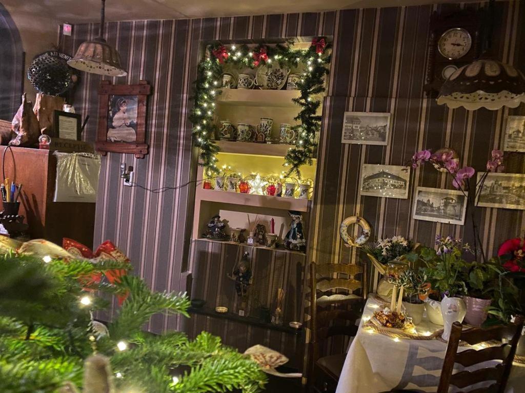 Vila Monica Bed & Breakfast Târgu-Mureş Eksteriør bilde