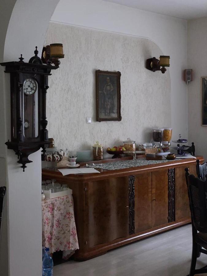 Vila Monica Bed & Breakfast Târgu-Mureş Eksteriør bilde