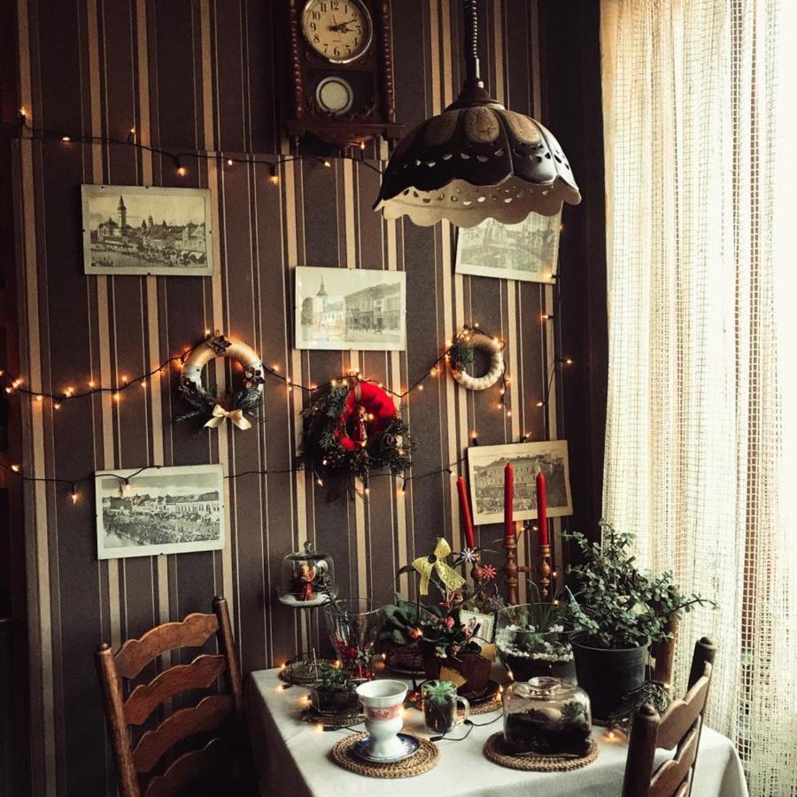 Vila Monica Bed & Breakfast Târgu-Mureş Eksteriør bilde