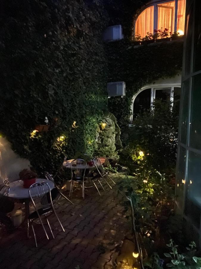 Vila Monica Bed & Breakfast Târgu-Mureş Eksteriør bilde