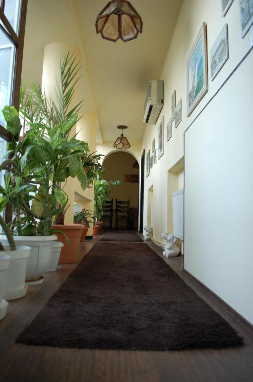 Vila Monica Bed & Breakfast Târgu-Mureş Eksteriør bilde